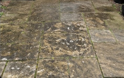 Patio before professional cleaning