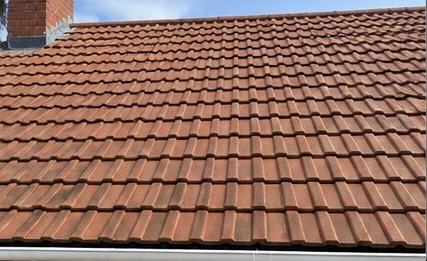 Roof after professional cleaning