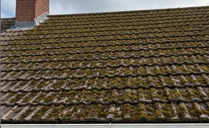 Roof before professional cleaning